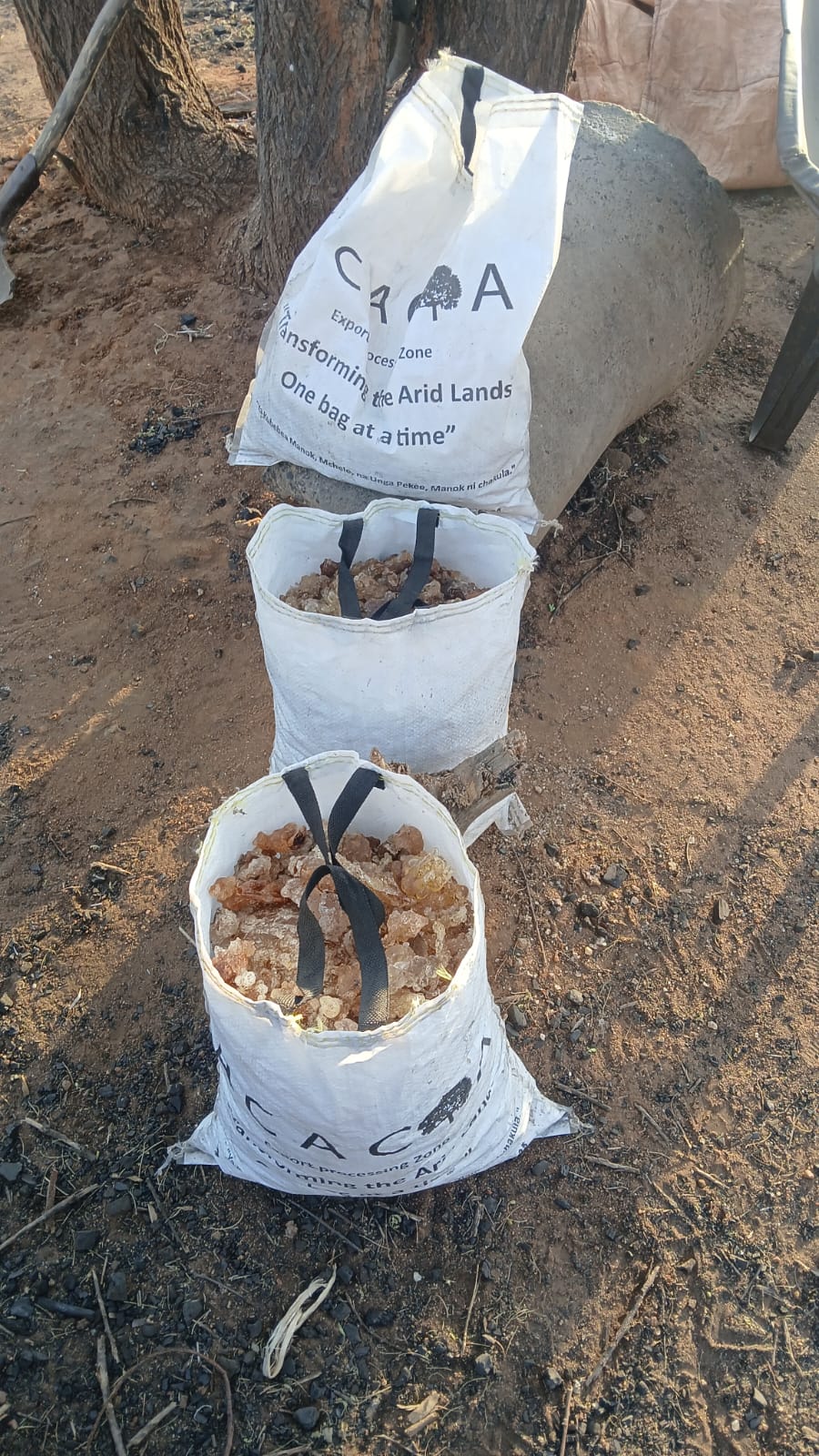 Premium Gum Arabic in Acacia EPZ branded collection bags ready for export